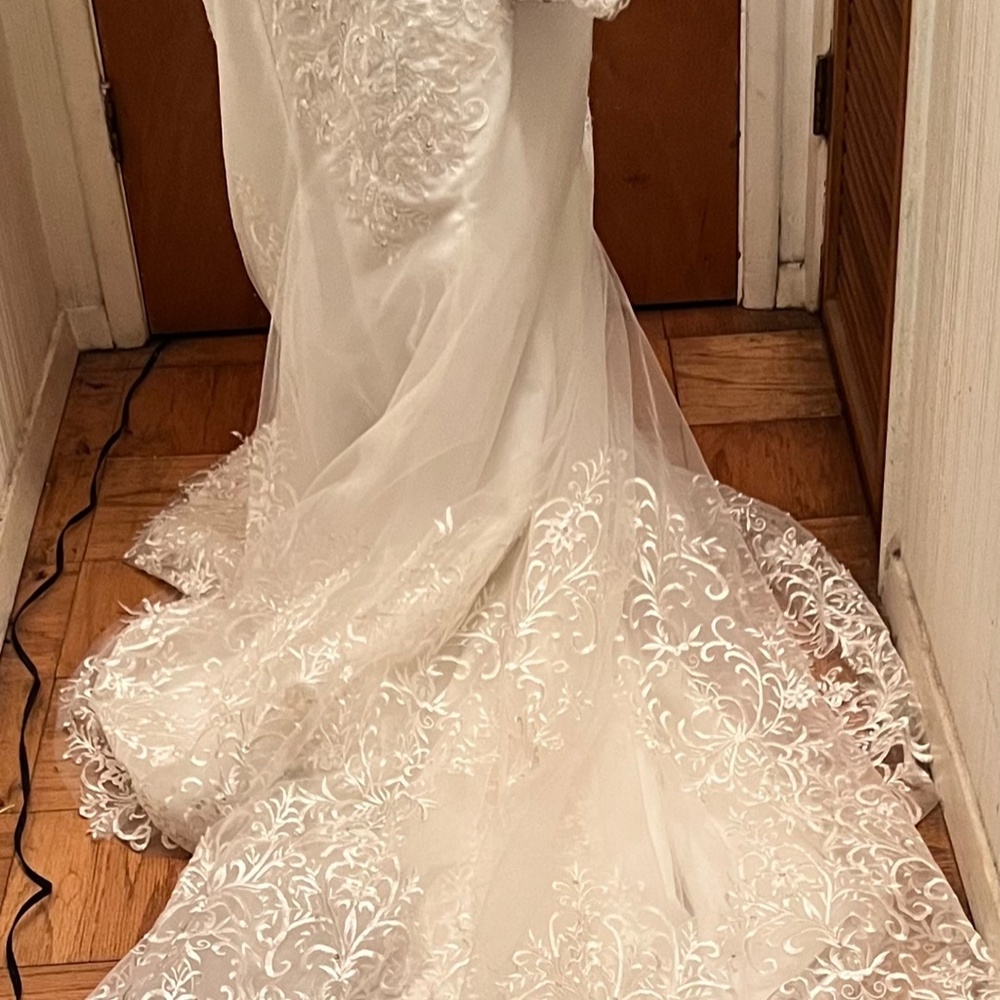 Wedding Gown - Picture 4 of 9